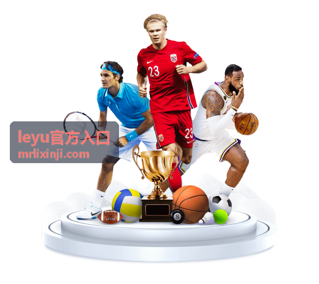 leyu官方入口智能路由示意图